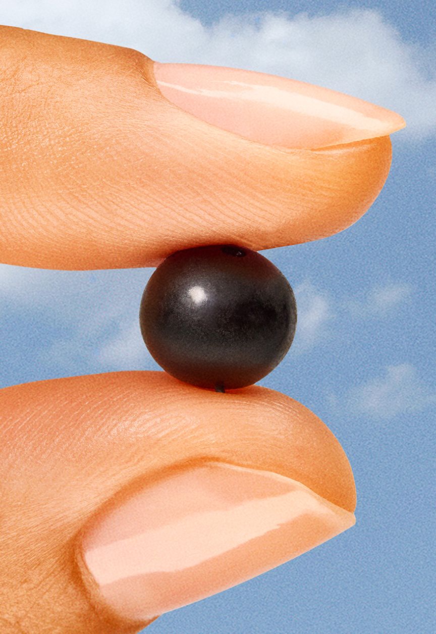 Nature’s Way Sambucus